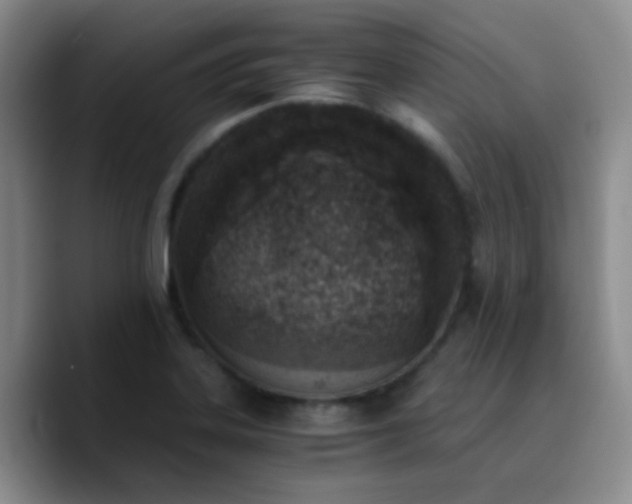 X0000090741323200707201421