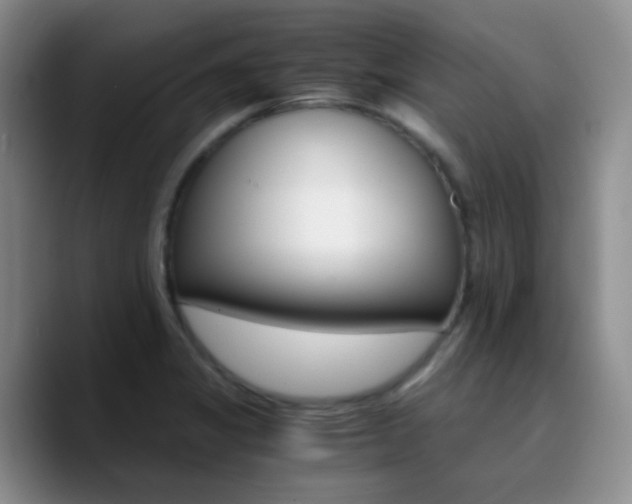 X0000090741325200707201421
