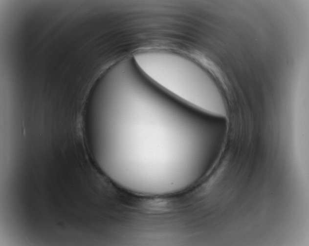X0000090741329200707201421