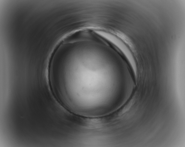 X0000090741334200707201421