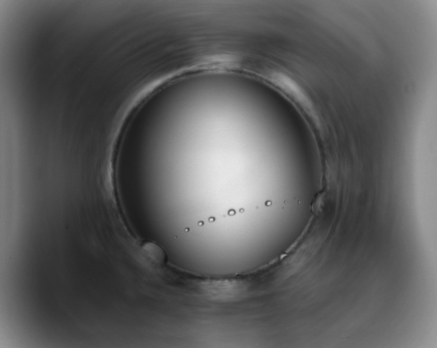 X0000090741336200707201421