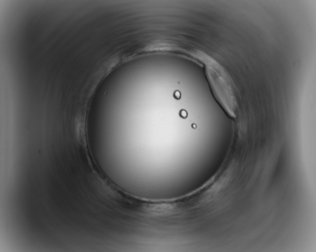 X0000090741337200707201421