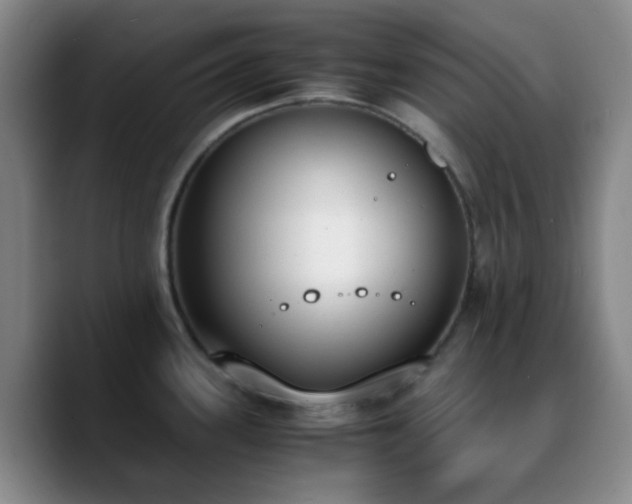 X0000090741339200707201421