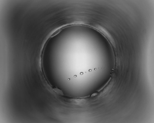 X0000090741340200707201421