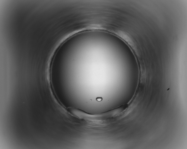 X0000090741342200707201421