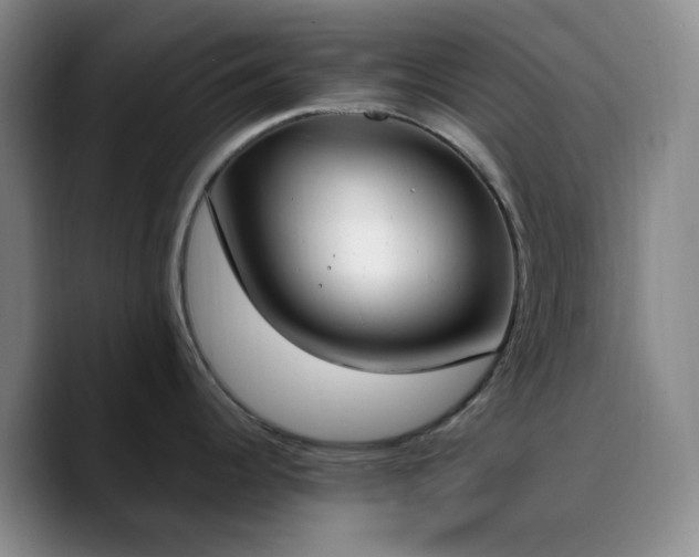 X0000090741344200707201421