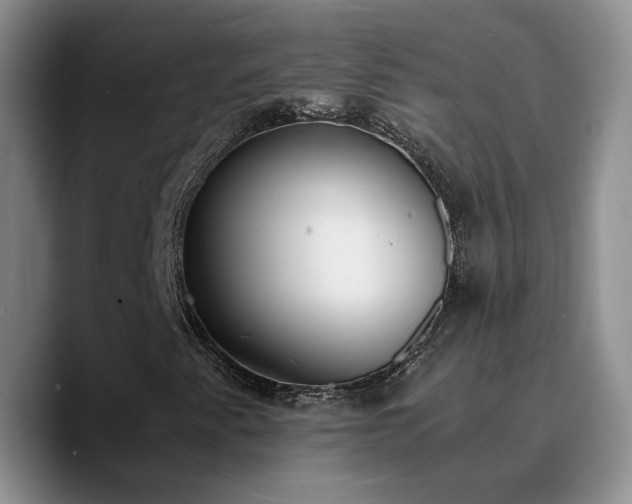 X0000090741345200707201421