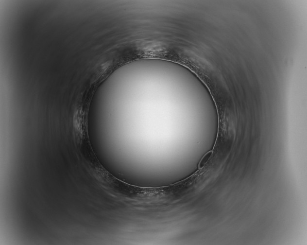 X0000090741346200707201421