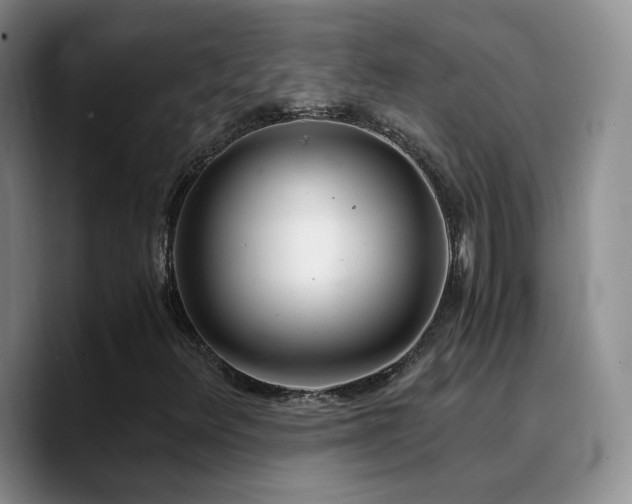 X0000090741348200707201421