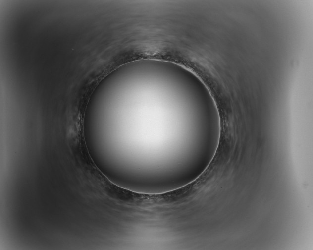 X0000090741349200707201421