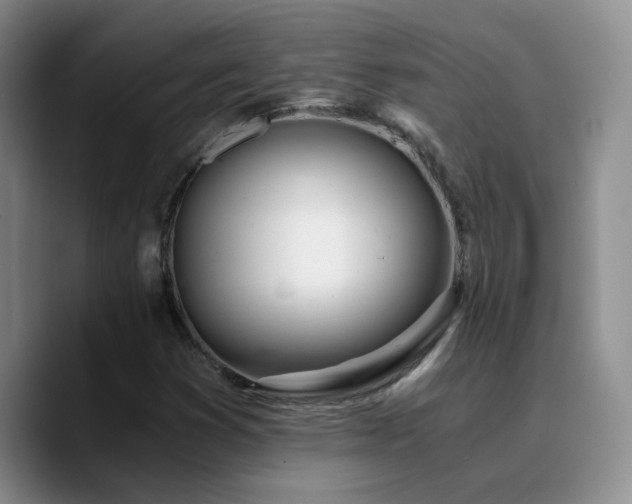 X0000090741353200707201420