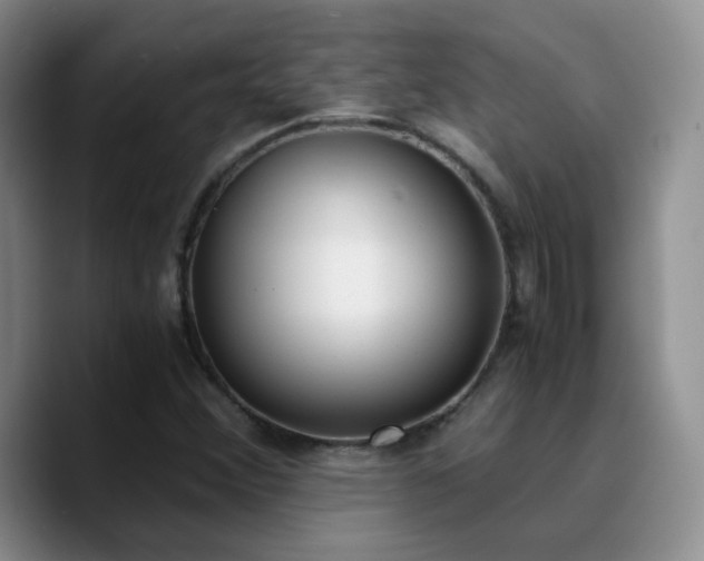 X0000090741356200707201420