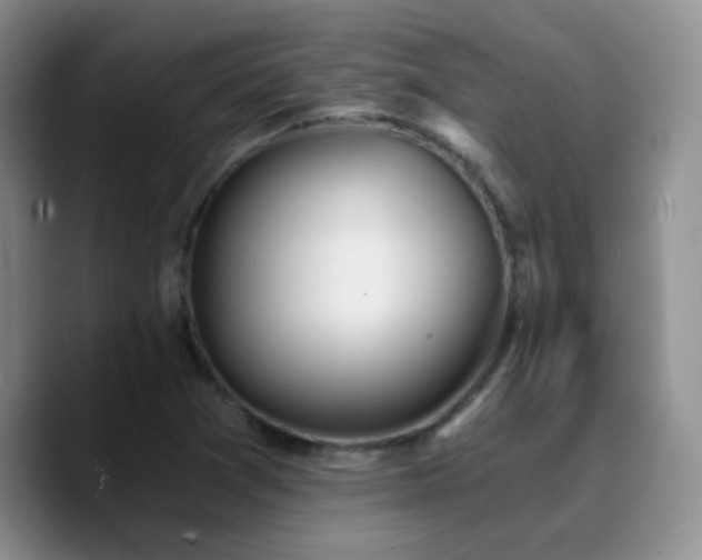 X0000090741361200707201420