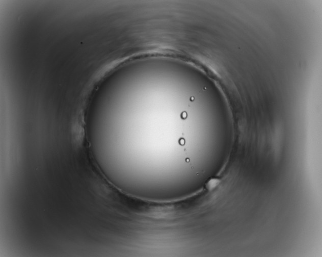 X0000090741363200707201420