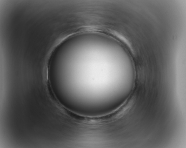 X0000090741365200707201420
