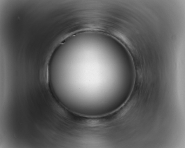 X0000090741371200707201420