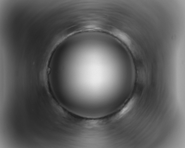X0000090741373200707201420