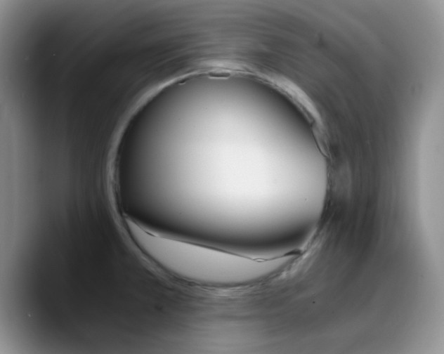 X0000090741381200707201420