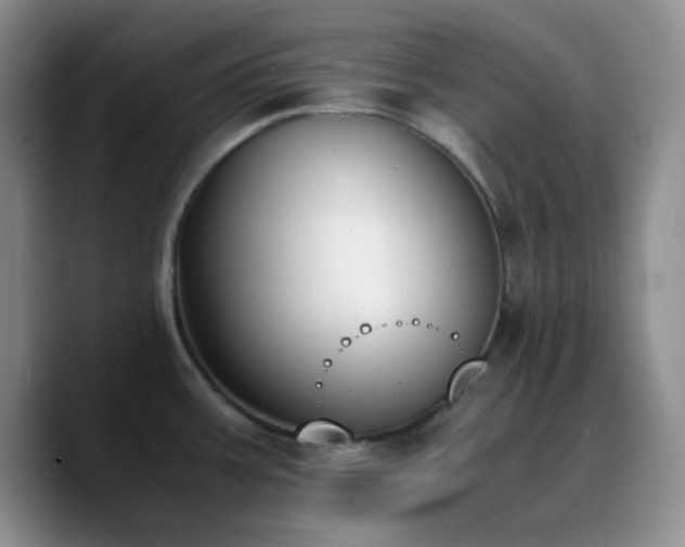 X0000090741387200707201420