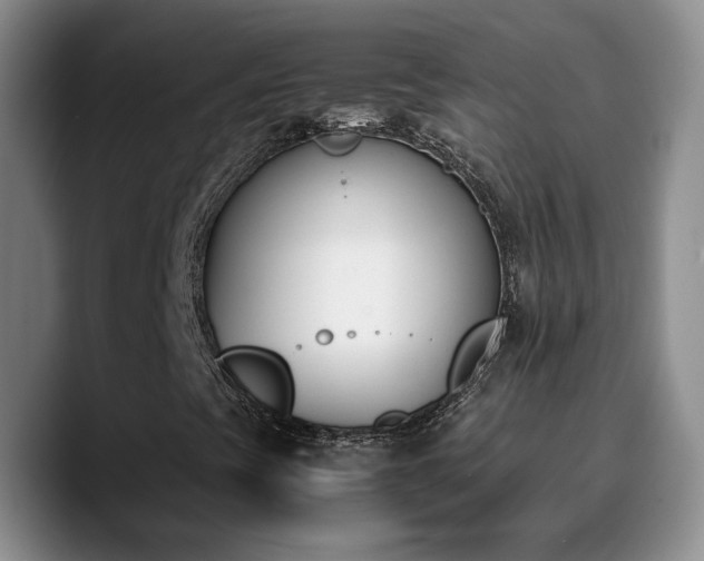 X0000090741393200707201419
