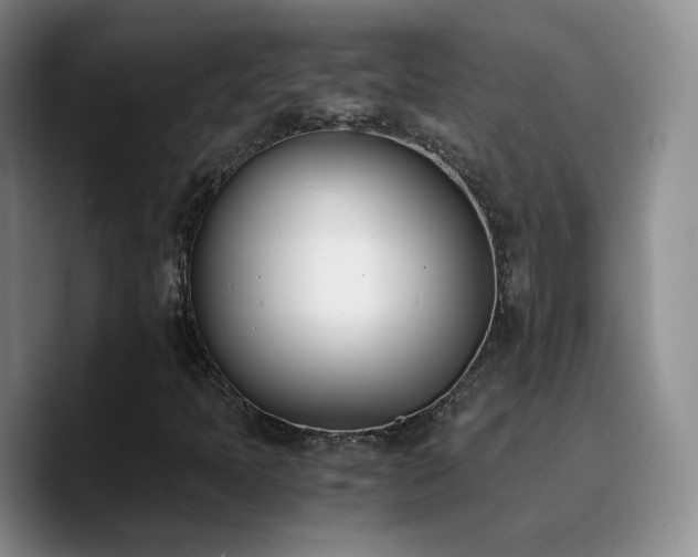 X0000090741397200707201419
