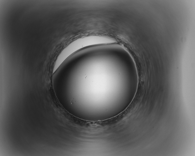 X0000090741398200707201419