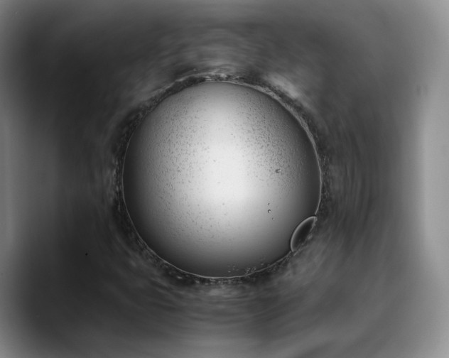 X0000090741399200707201419