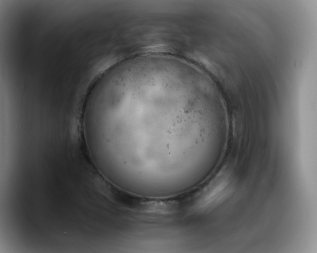 X0000090741405200707201419