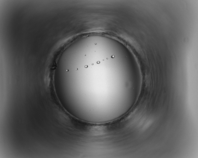 X0000090741406200707201419