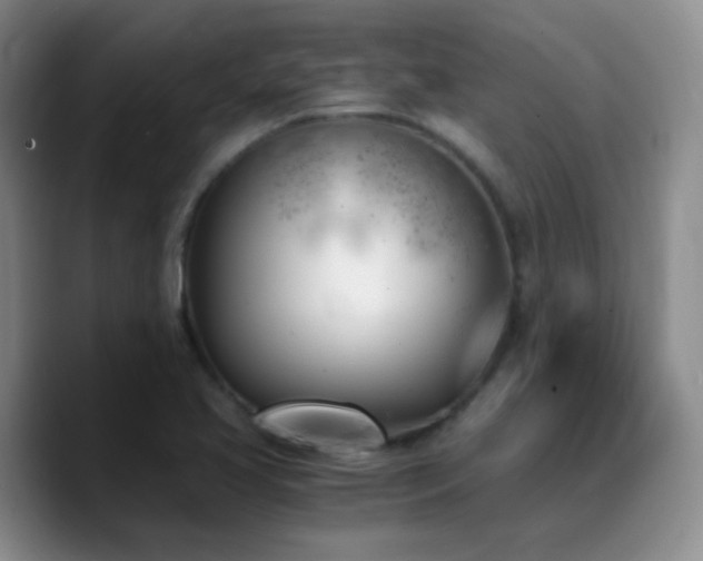 X0000090741413200707201420