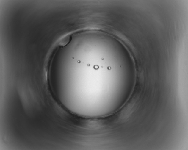 X0000090741416200707201420
