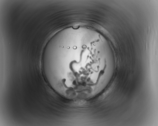 X0000090741417200707201420