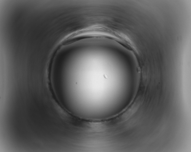 X0000090741422200707201420