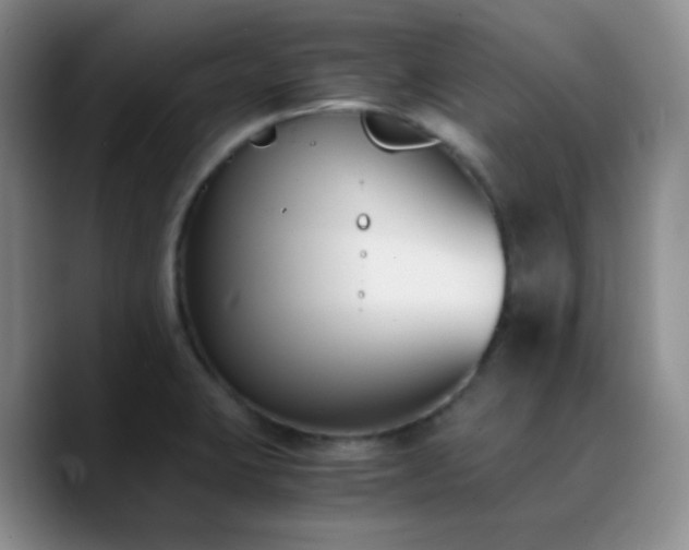 X0000090741423200707201420