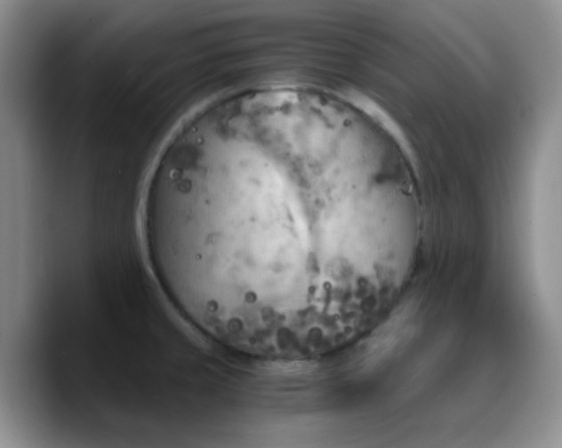 X0000090741429200707201420