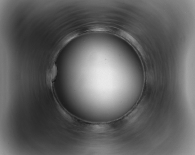 X0000090741433200707201420