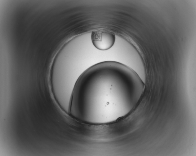 X0000090741434200707201420