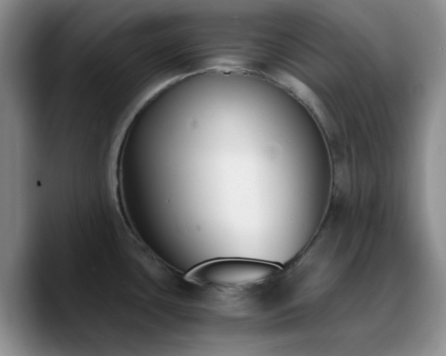 X0000090741435200707201420