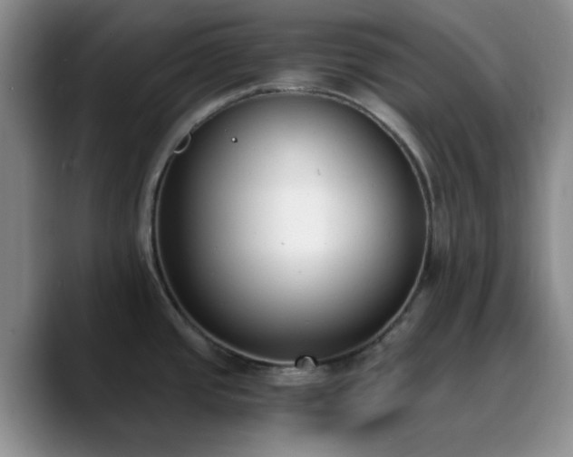 X0000090741437200707201420