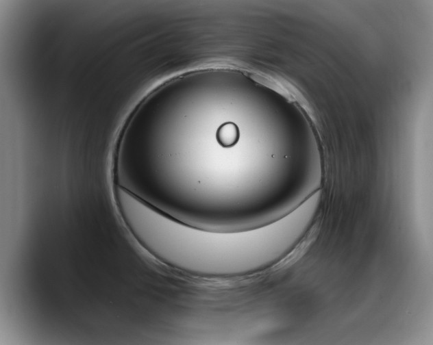 X0000090741438200707201420