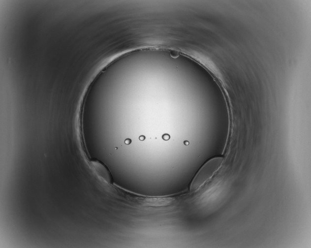 X0000090741440200707201420