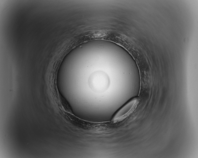 X0000090741441200707201419