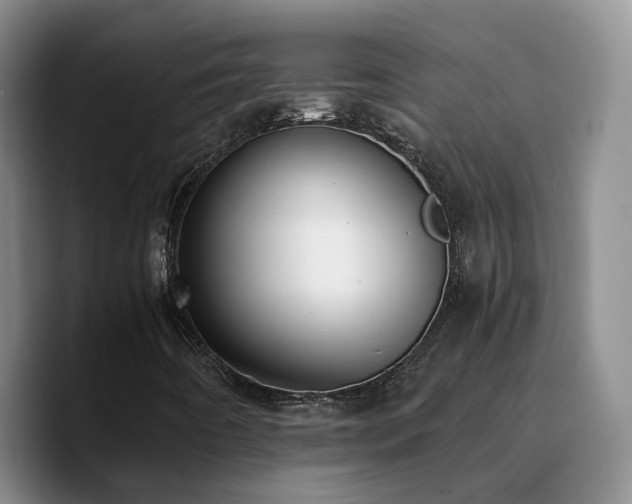 X0000090741442200707201419