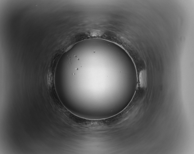 X0000090741443200707201419