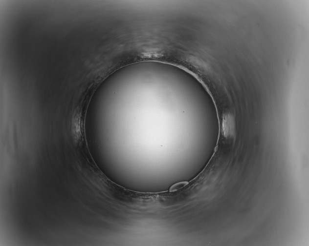 X0000090741444200707201419