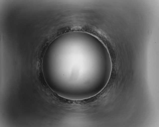 X0000090741445200707201419