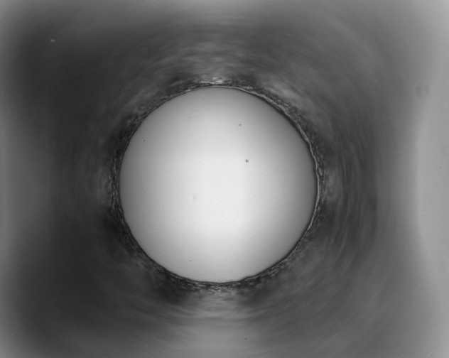 X0000090741446200707201419