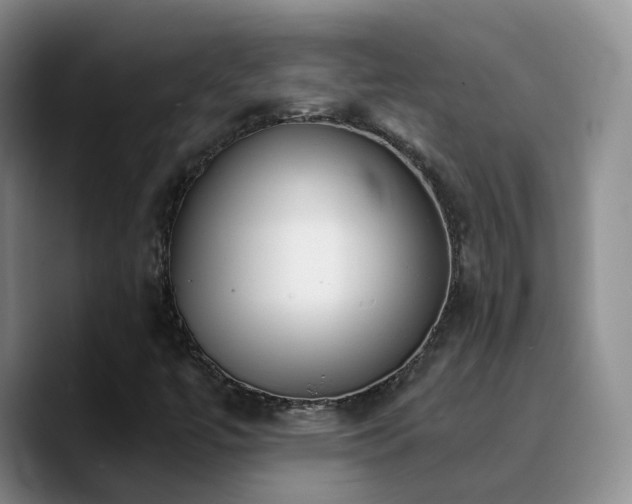 X0000090741447200707201419
