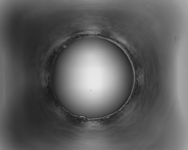X0000090741448200707201419