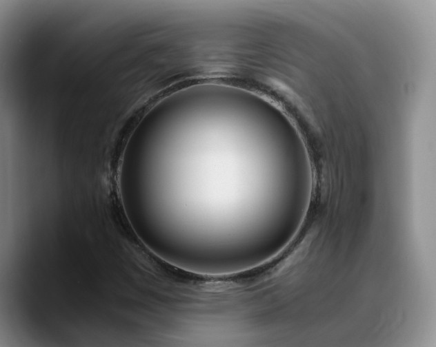 X0000090741449200707201419